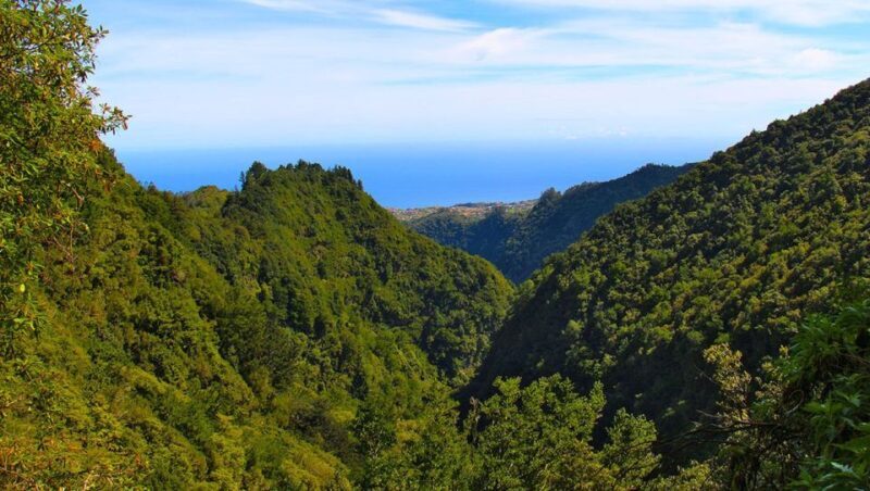 Madeira: Queimadas, Caldeirão Verde and Levada Walk - Key Points