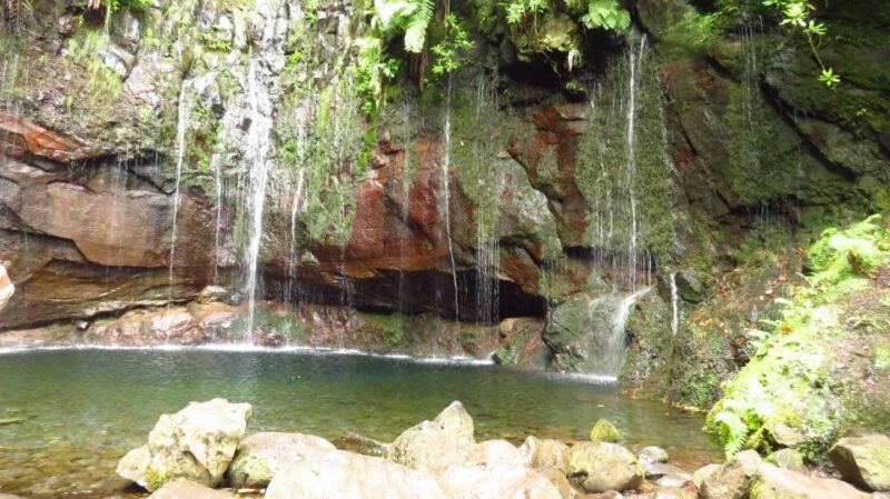 Madeira: Rabaçal, Risco and 25 Fontes Guided Hiking Tour - Exploring the Full Experience: A Deep Dive into the Madeira Rabaçal Hike