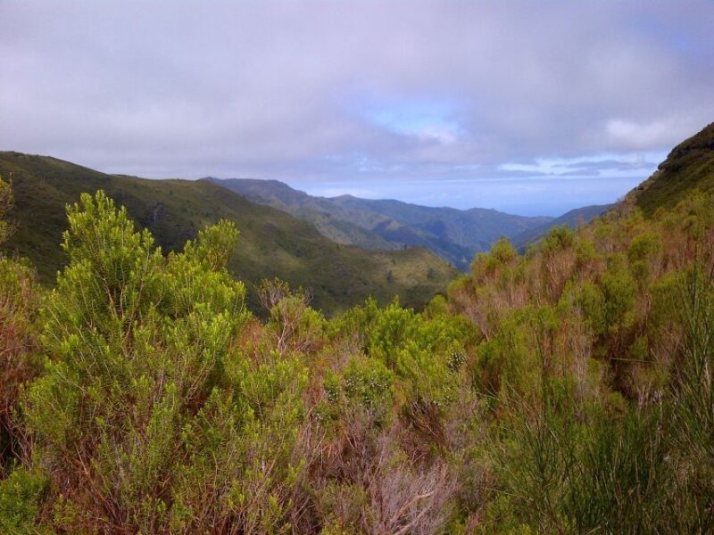 Madeira: Rabaçal Valleys 3-Hour Guided Walk - Madeira: Rabaçal Valleys 3-Hour Guided Walk