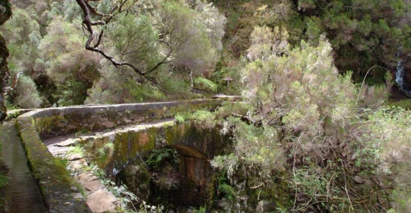 Madeira: Rabaçal Valleys 3-Hour Guided Walk - Why This Tour Offers Value