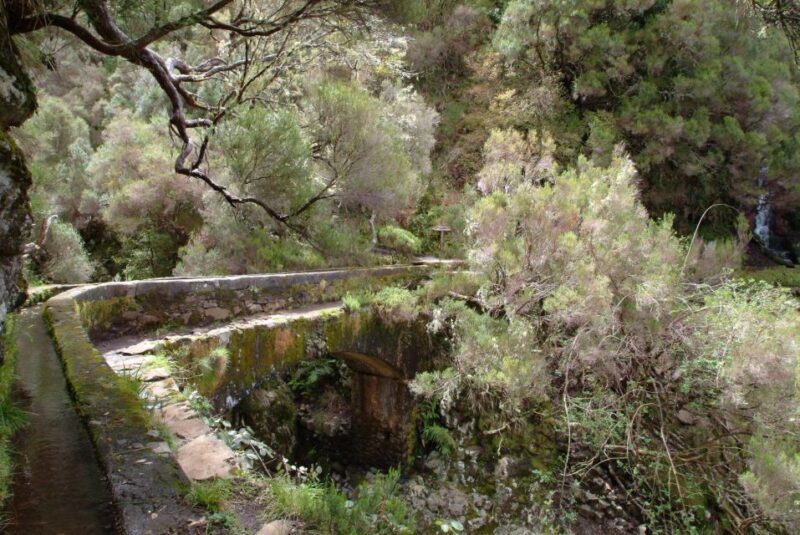 Madeira: Rabaçal Valleys 3-Hour Guided Walk - The Sum Up