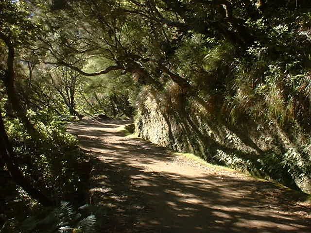 Madeira: Rabaçal Valleys 3-Hour Guided Walk - FAQ