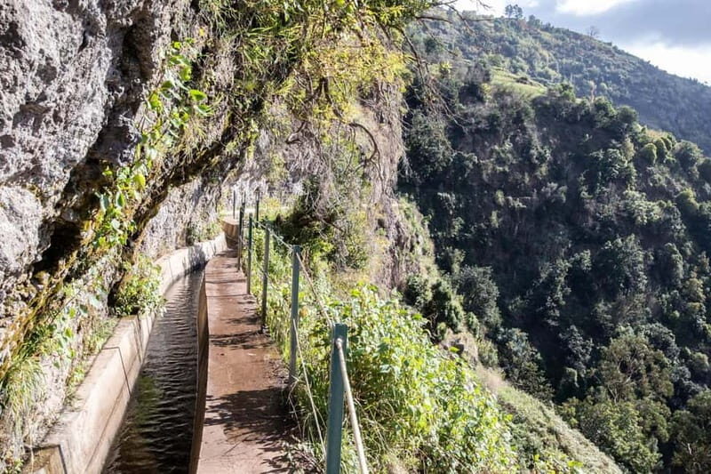 Madeira: Reach the Sun Hike Levada Nova Moinhos Ponta do Sol - Who Should Book This Tour?