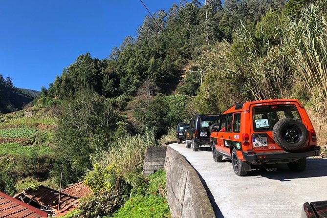 Madeira Safari - East of the island - The Journey Begins: Poiso and Mount Arieiro