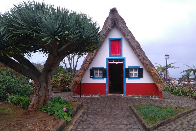 Madeira Safari - East of the island - Who Should Consider This Tour?
