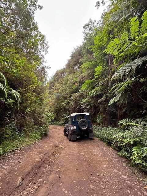 Madeira: Santana; Discover the enchanting East: Duration 7,5h - Who Would Love This Tour?