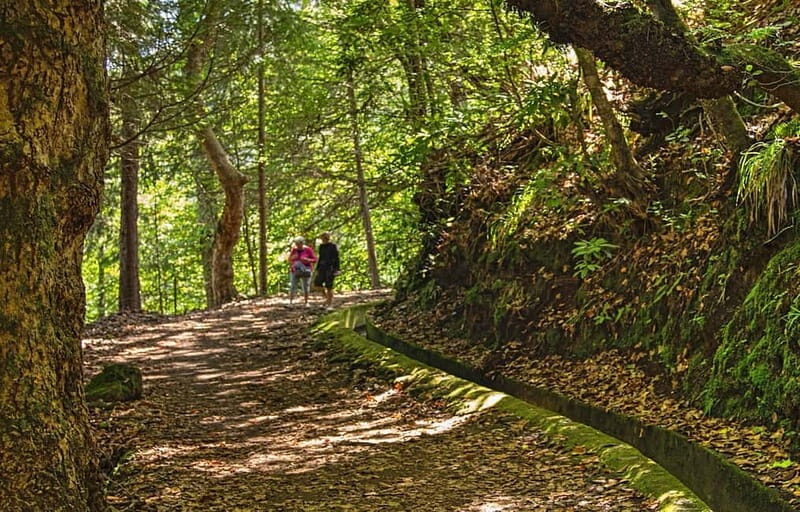 Madeira: Santana Jeep Safari and Balções Levada Walk - Final Thoughts