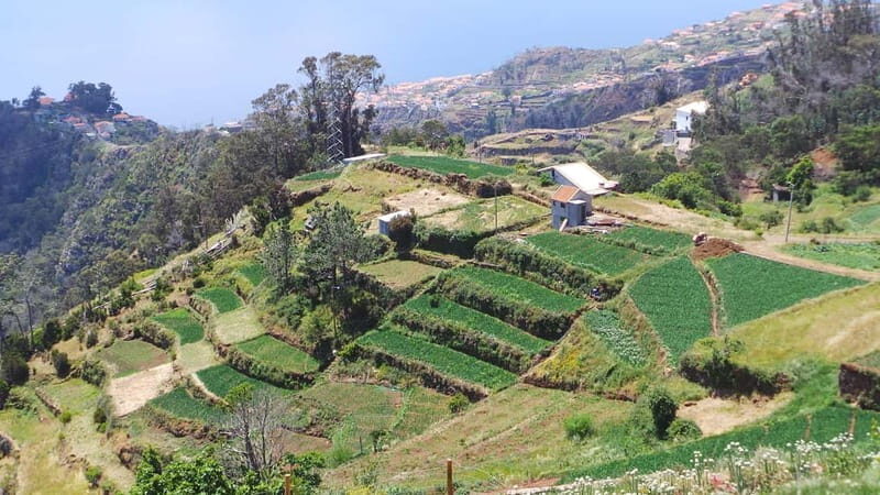 Madeira: Santana Jeep Safari and Balções Levada Walk - FAQ