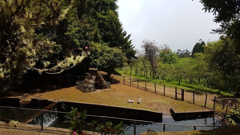 Madeira: Santana Traditional Houses Private Half-Day Tour - FAQs