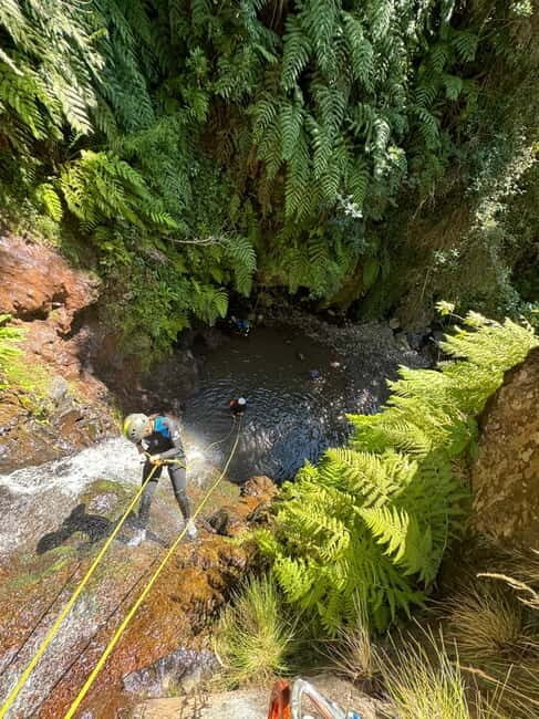 Madeira Short Canyoning For Beginners Rochão Level 1 - Why Travelers Love This Tour