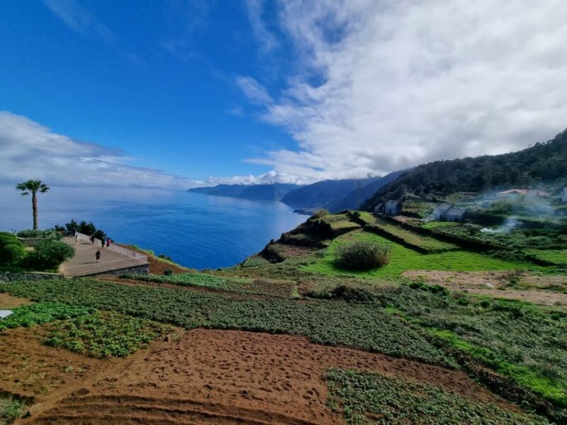 Madeira : SkyWalk, Fanal, Natural Pools 4x4 Jeep Tour - Who Should Book This Tour?
