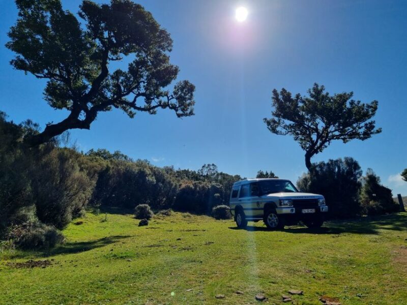 Madeira : SkyWalk, Fanal, Natural Pools 4x4 Jeep Tour - The Sum Up