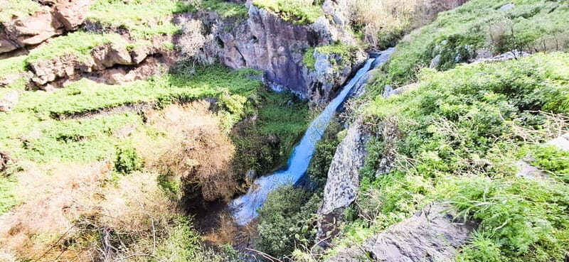 Madeira: South Madeira Private 4x4 Tour with Pickup - FAQ