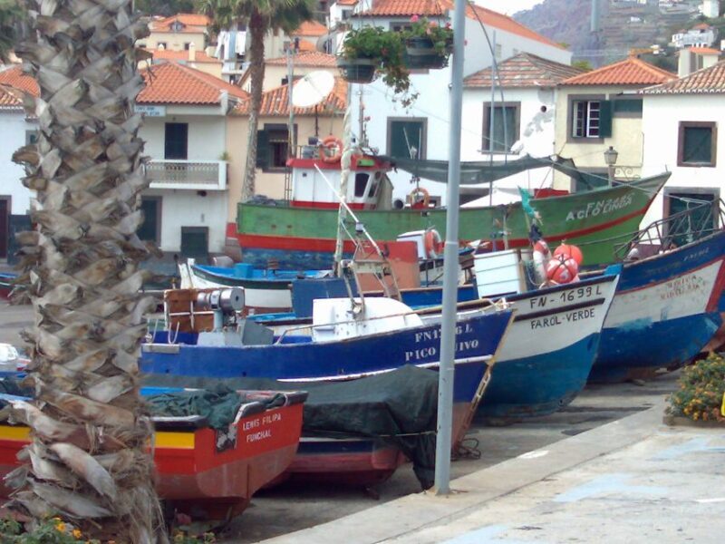 Madeira South West: Half Day Private Tour - Who Will Love This Tour?
