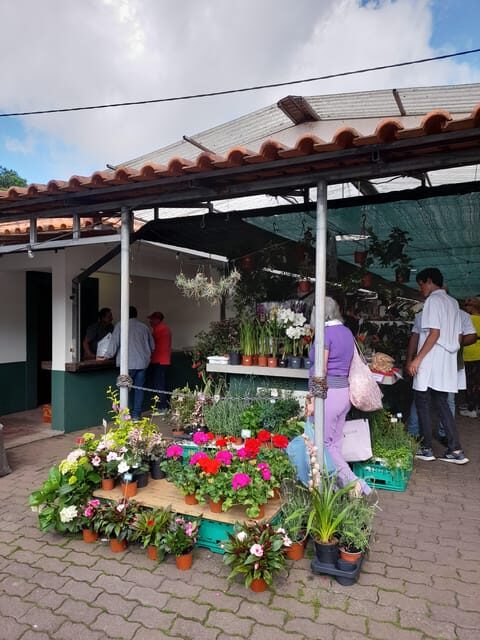 Madeira: Sunday Market in Santo da Serra - Madeira: Sunday Market in Santo da Serra