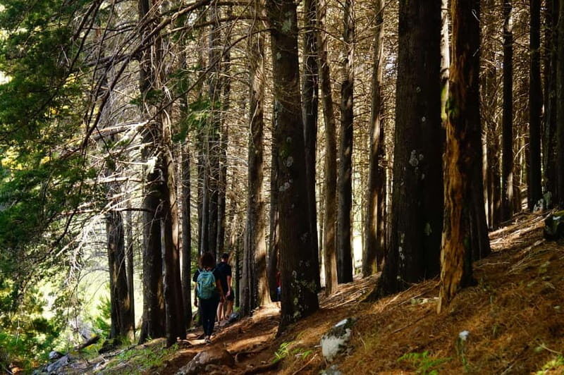 Madeira : Sunrise at Pico do Arieiro + 2 Hikes - PR1 and PR3 - A Detailed Look at the Sunrise and Mountain Trails of Madeira