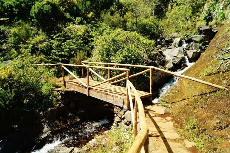 Madeira : Sunrise at Pico do Arieiro + 2 Hikes - PR1 and PR3 - What Makes This Tour Stand Out?