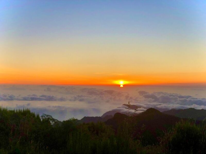 Madeira: Sunrise at Pico do Arieiro & Hike Larano trail - Who Should Consider This Tour?