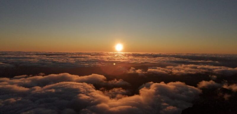Madeira: Sunrise Half-Day Jeep Tour - Key Points