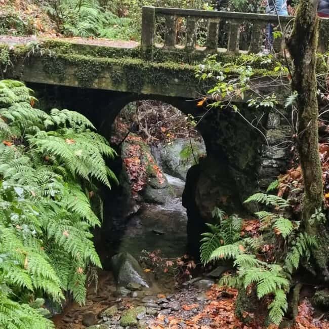 Madeira: Surreal East Experience - Frequently Asked Questions