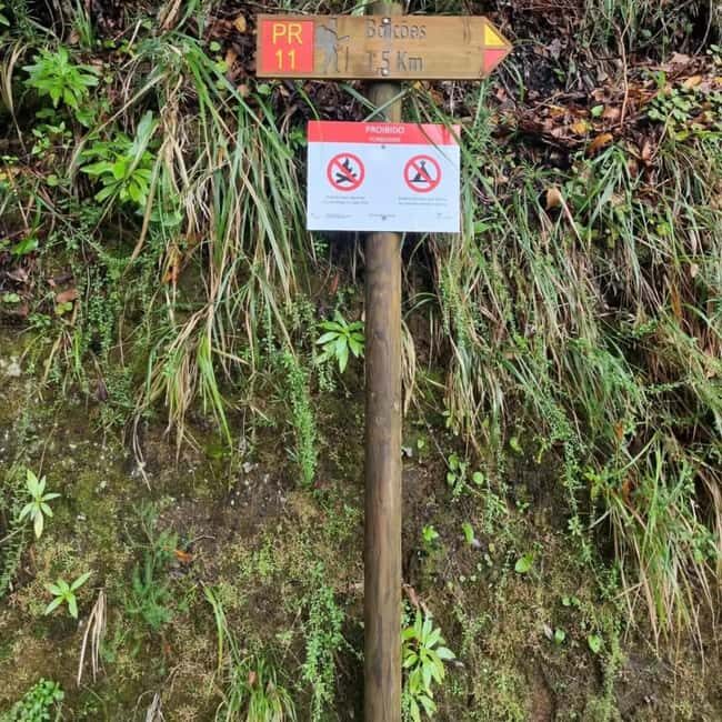 Madeira: Surreal East Experience - Final Verdict