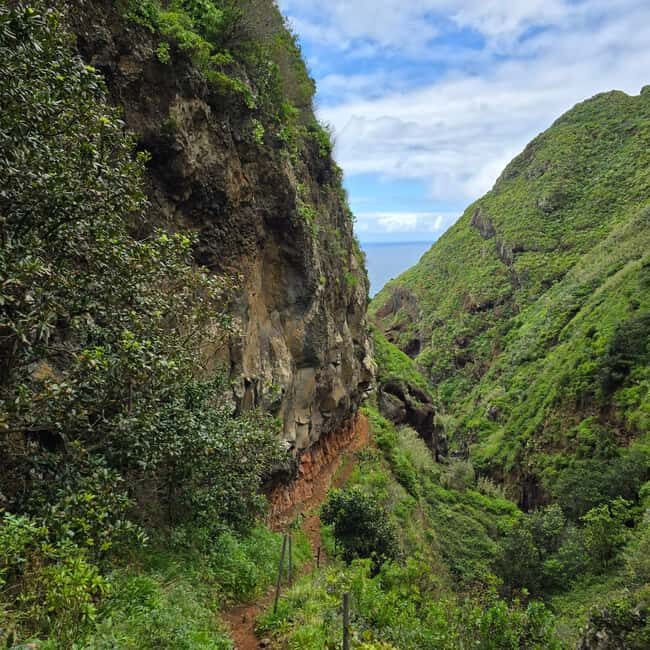 Madeira: Vereda da Ladeira  Challenging Full-Day Hike - Final Thoughts