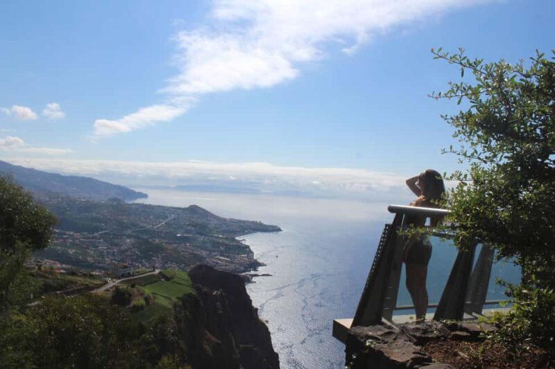 Madeira: Vineyard Tour w/ Wine Tasting & Skywalk - Who Will Love This Tour?