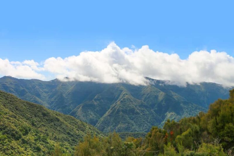 Madeira: Walk in Fanal and Seixal Beach Guided Tour - A Journey into Madeira’s Natural Beauty: Fanal and Seixal Beach