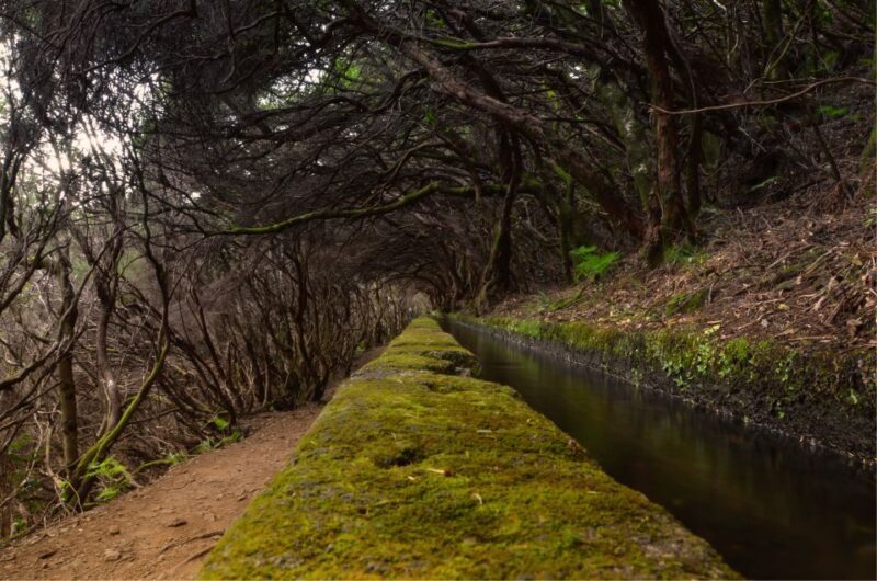 Madeira Walks - Rabaçal and the 25 Fountains - Key Points