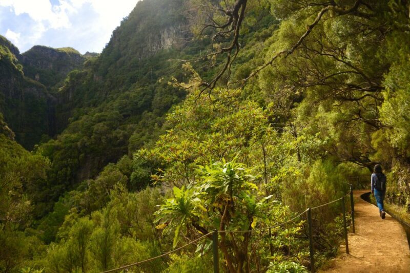 Madeira Walks - Rabaçal and the 25 Fountains - Authentic Experiences and Traveler Feedback