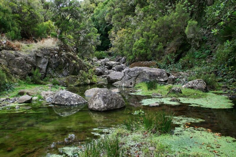 Madeira Walks - Rabaçal and the 25 Fountains - The Value Proposition
