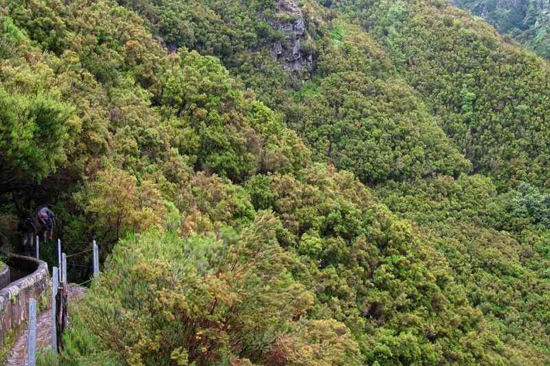 Madeira Walks - Rabaçal and the 25 Fountains - FAQ