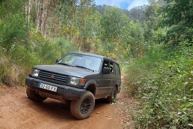 Madeira West 4x4 Jeep Safari: Wild Coast, Lava Pools & Fanal - Key Points