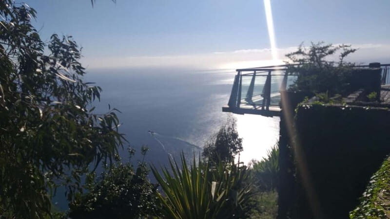 Madeira West Island Full-Day Tour with Fanal Forest - Final Thoughts: Is This Tour for You?