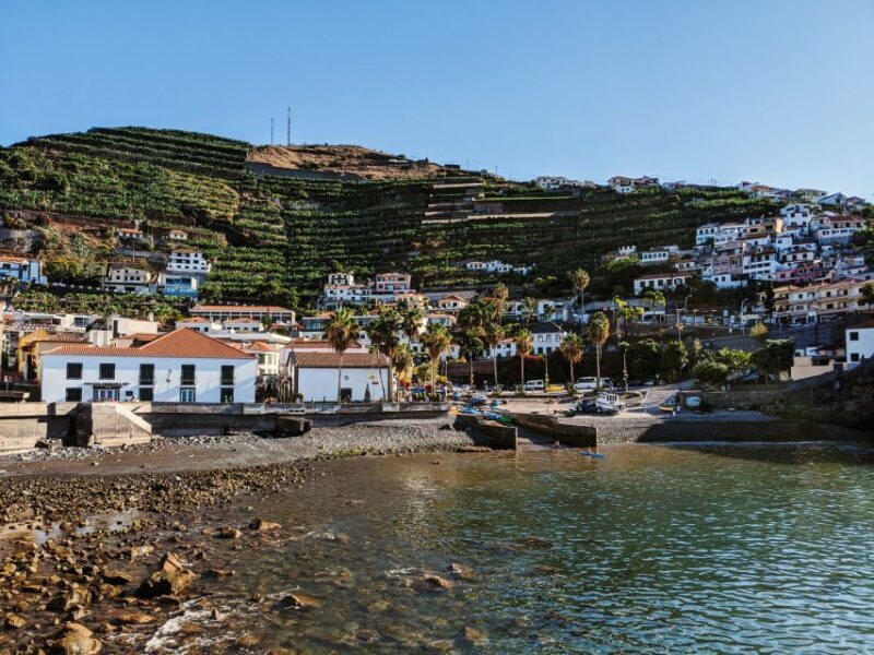 Madeira: Western Madeira Guided Trip & Fanal Mystic Forest - Who Might Want to Consider Other Options?