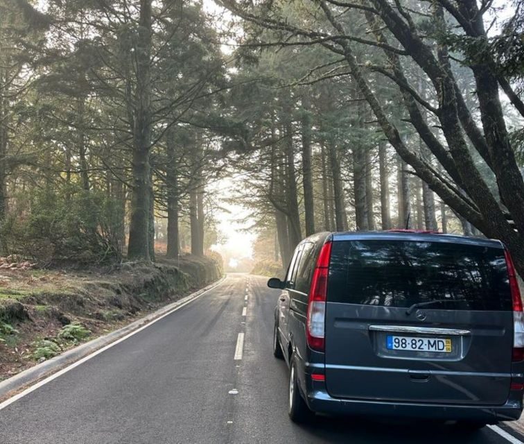 Madeira: Western Madeira Guided Trip & Fanal Mystic Forest - FAQ
