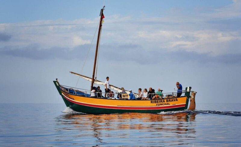 Madeira: Whale Watching Excursion in a Traditional Vessel - What is the Value of the Tour?