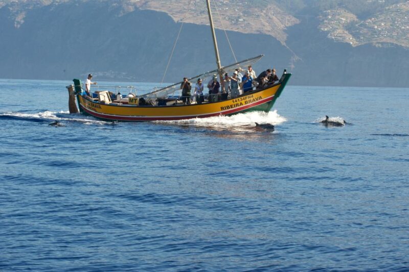 Madeira: Whale Watching Excursion in a Traditional Vessel - FAQ