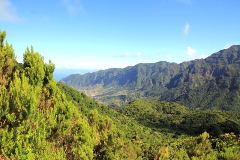 Madeira: Wine Safari Jeep Tour with Local Guide - Key Points: