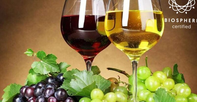 Madeira: Wine Tasting Experience Honey Museum and Cabo Girão - Key Points