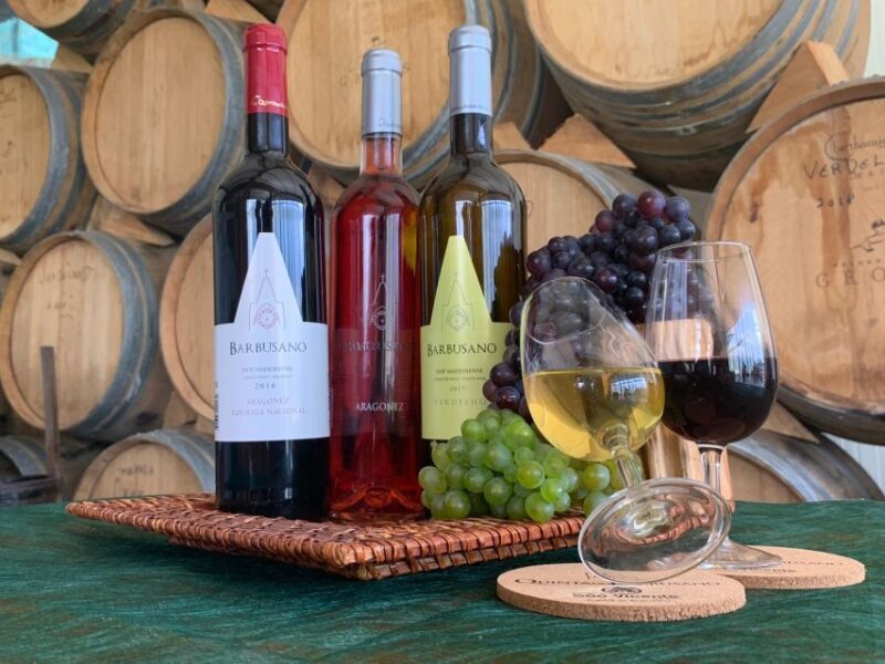 Madeira: Wine Tasting Experience Honey Museum and Cabo Girão - An In-Depth Look at the Tour Experience