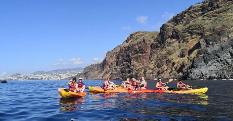 Madeiras Marine Reserve: Kayak & Snorkelling Trip - A Deep Dive into the Madeira Kayak & Snorkelling Tour