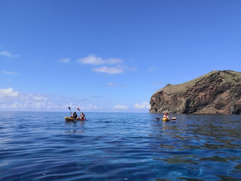 Madeiras Marine Reserve: Kayak & Snorkelling Trip - Final Thoughts