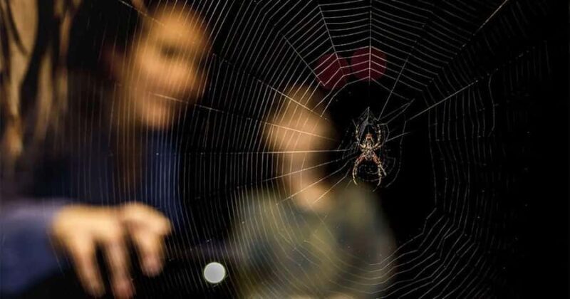 Madre de Dios: Amazon Rainforest Nocturnal Tour - Who Should Take This Tour?