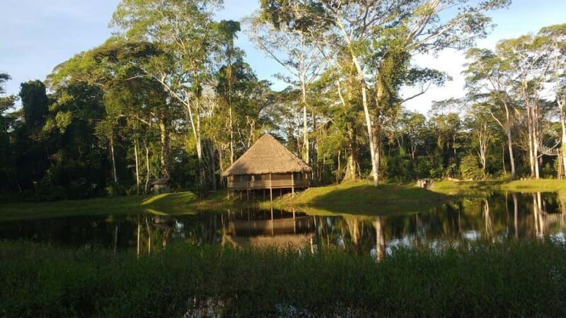 Madre de Dios: Lake Saldoval + Visit to the Macaws - Who Is This Tour Best For?