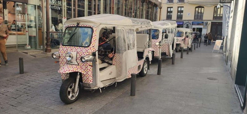 Madrid: All in One Sightseeing city tour (3 hours) - Key Points
