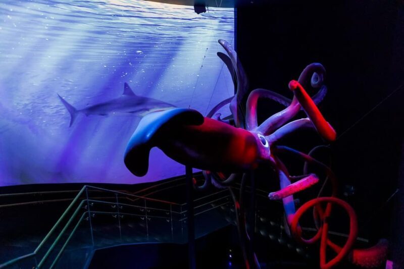 Madrid: Atlantis Aquarium Entry Ticket - Madrid: Atlantis Aquarium Entry Ticket – A Practical Guide for Curious Travelers