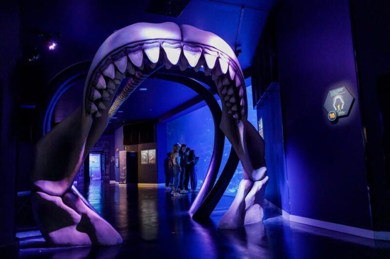 Madrid: Atlantis Aquarium Entry Ticket - Who Will Appreciate This Tour?