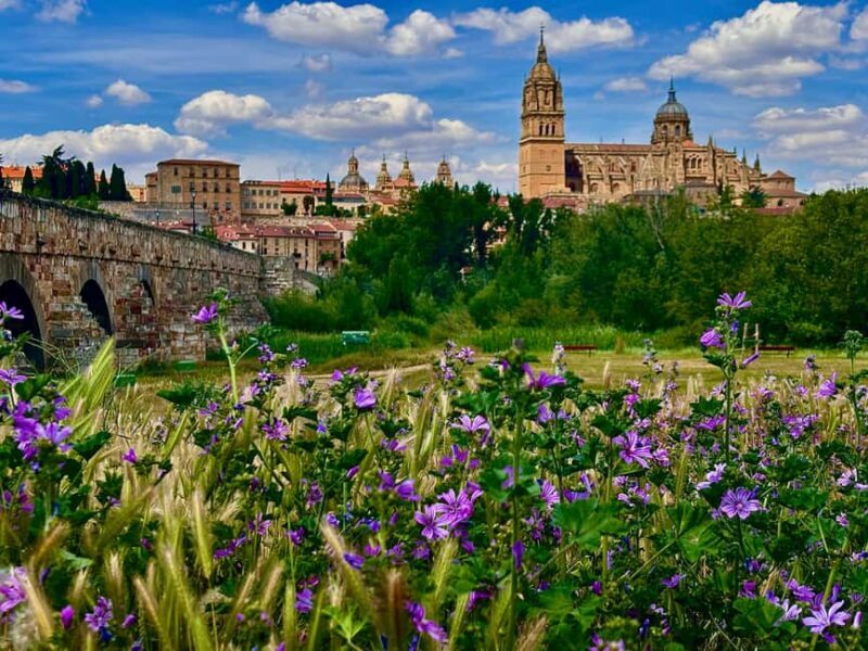 Madrid: Ávila and Salamanca, a day between history and walls - FAQs