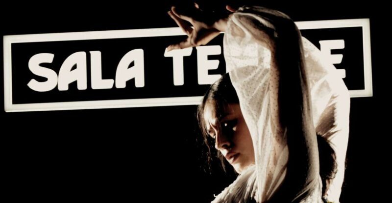 Madrid: Flamenco Show at Tablao Sala Temple with Drink - The Audience Experience